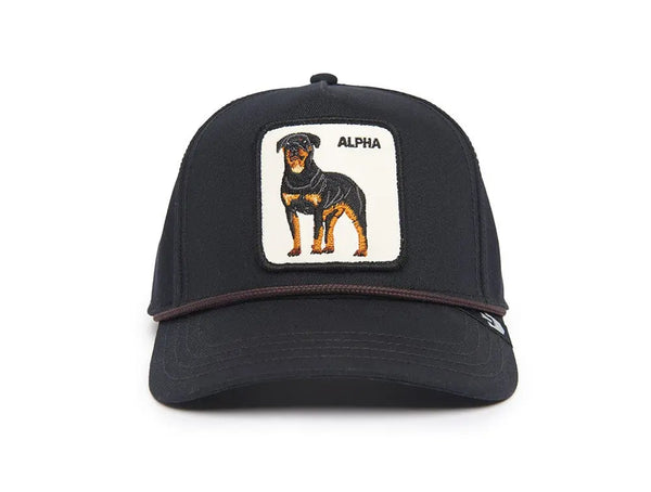 Jockey Goorin Alpha Dog 100 Unisex Negro