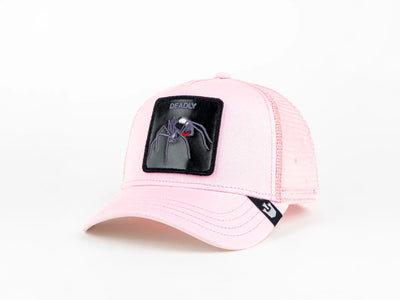 Jockey Goorin Bros The Deadly Spider Unisex Rosado Goorin Bros