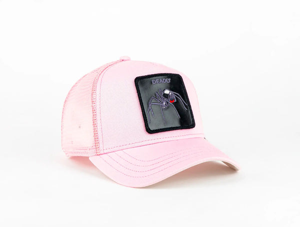 Jockey Goorin Bros The Deadly Spider Unisex Rosado Goorin Bros