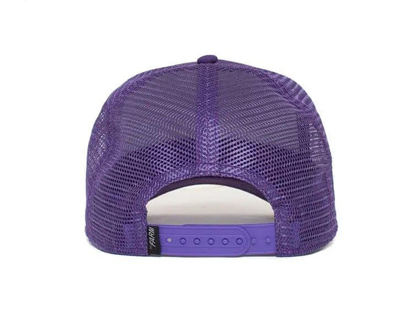 Jockey Goorin The Lone Wolf Unisex Morado