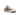 Zapatilla Converse Chuck Taylor Print Mujer Cafe