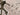 Zapatilla Dc Court Graffik Se Hombre Beige