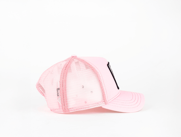 Jockey Goorin Bros The Deadly Spider Unisex Rosado