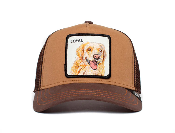 Jockey Goorin The Loyal Dog Unisex Cafe